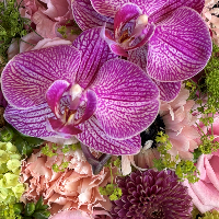 Johanna Margrethe Saghaug