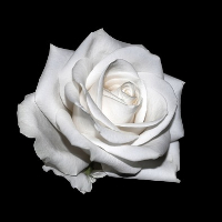 Edel Gullbjørg Tytlandsvik