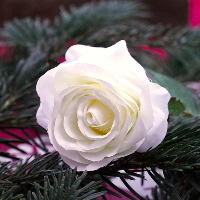 Lars Vilhelm Torstrup