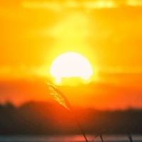 Reidun Spørkel Gjerde